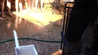 AliceInBondageLand - Shawshank Shower