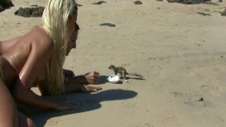 Bikini-Pleasure - Dominika And Neilla Double Yel